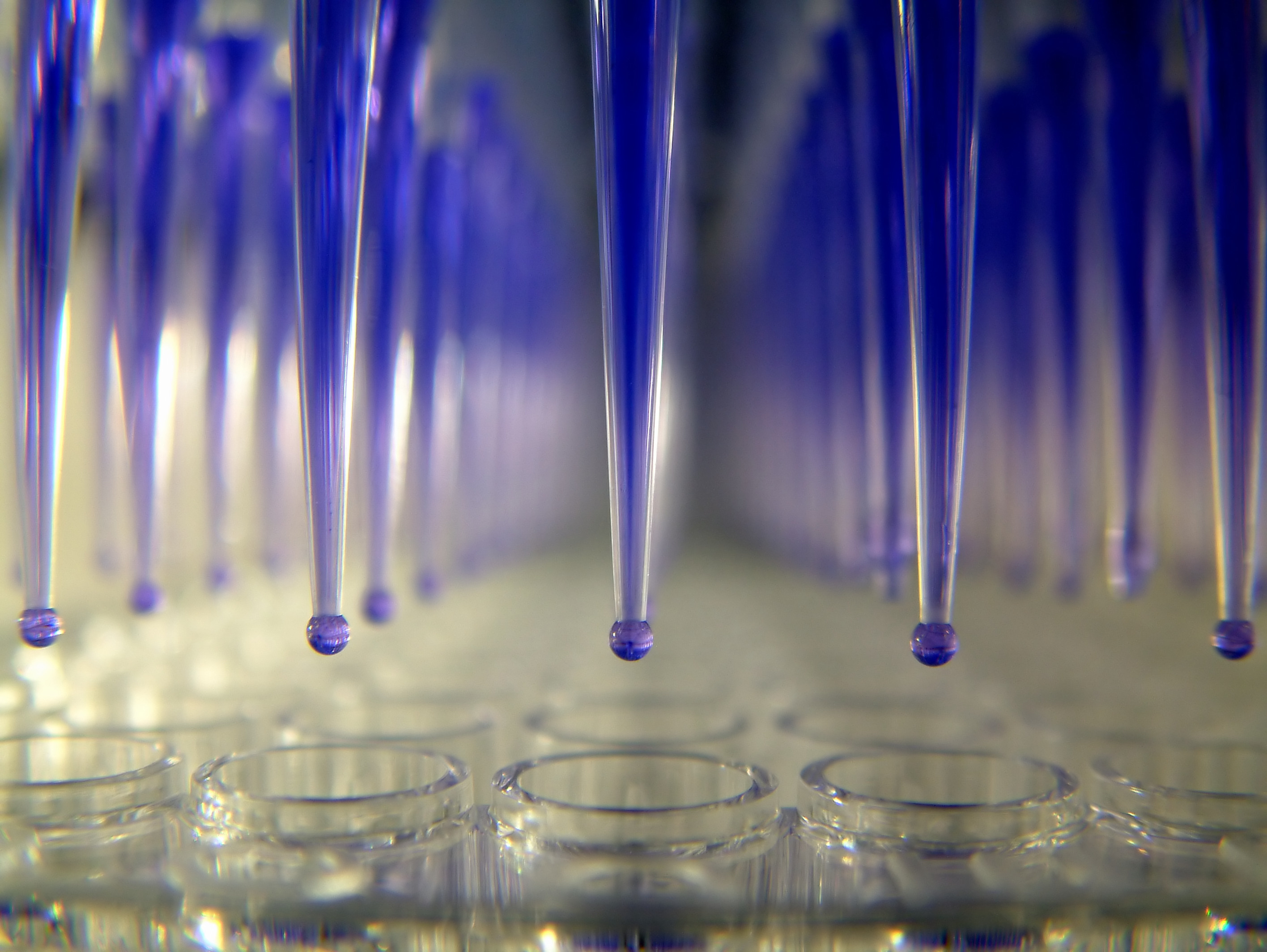 Pipeline 2: Advanced Molecular Diagnostics Tool